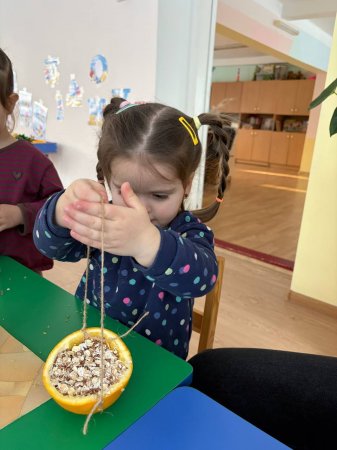 ���� ��������� ������ � �����-����� ���������