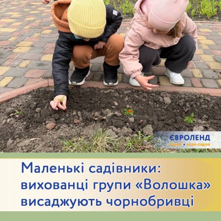 ������� ��������: ��������� ����� �������� ���������� �����������