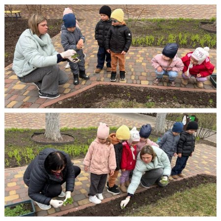 ������� ��������: ��������� ����� �������� ���������� �����������